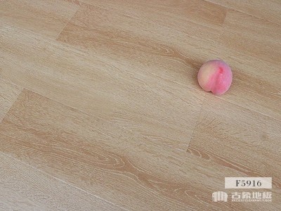 古象强化地板·白露青松-F5916